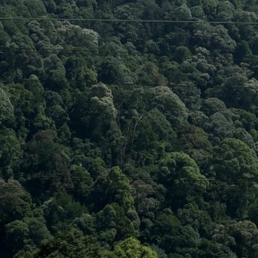 Elak Kemalangan Dan Kos SAR Mahal, NRES Ketatkan Syarat Mendaki Di Seluruh Negara