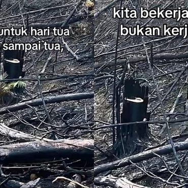 ‘Maafkan Kami Warga Malaysia’ – Netizen Indonesia Geram Individu Dirakam Tanam Sawit Lepas Kebakaran Hutan