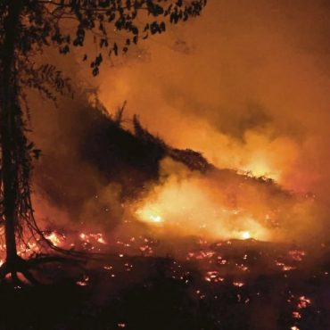Kecoh Syarikat Malaysia Dituduh Bakar Hutan Indonesia, Ini Respon Tegas PM Anwar